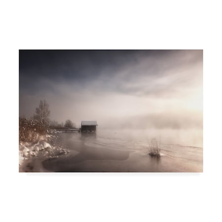 Corry DeLaan 'Misty Winter Morning' Canvas Art,22x32